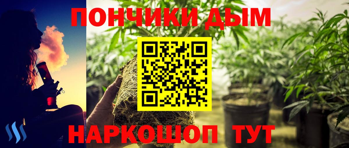 Бошки Шишки Amnesia  Вход с VPN  Бошки Шишки MAZAR  Бошки Шишки марихуана  Каннабис SATIVA & INDICA  Якутск 
